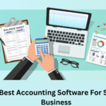 12 Best Accounting Software For Small Business