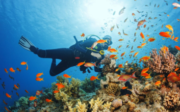 Find the Best Scuba Diving Charters Near Me in Key West