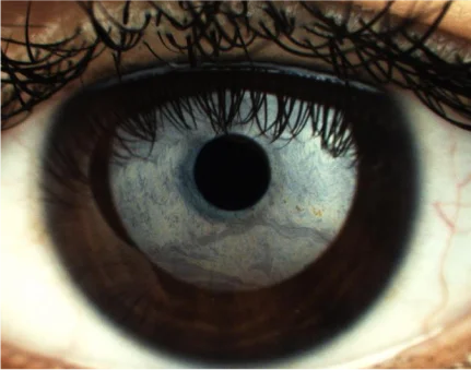 lli eye img desk