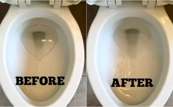 Tips for Removing Hard Water Stains from Your Toilet